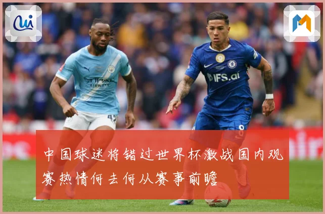 中国球迷将错过世界杯激战国内观赛热情何去何从赛事前瞻